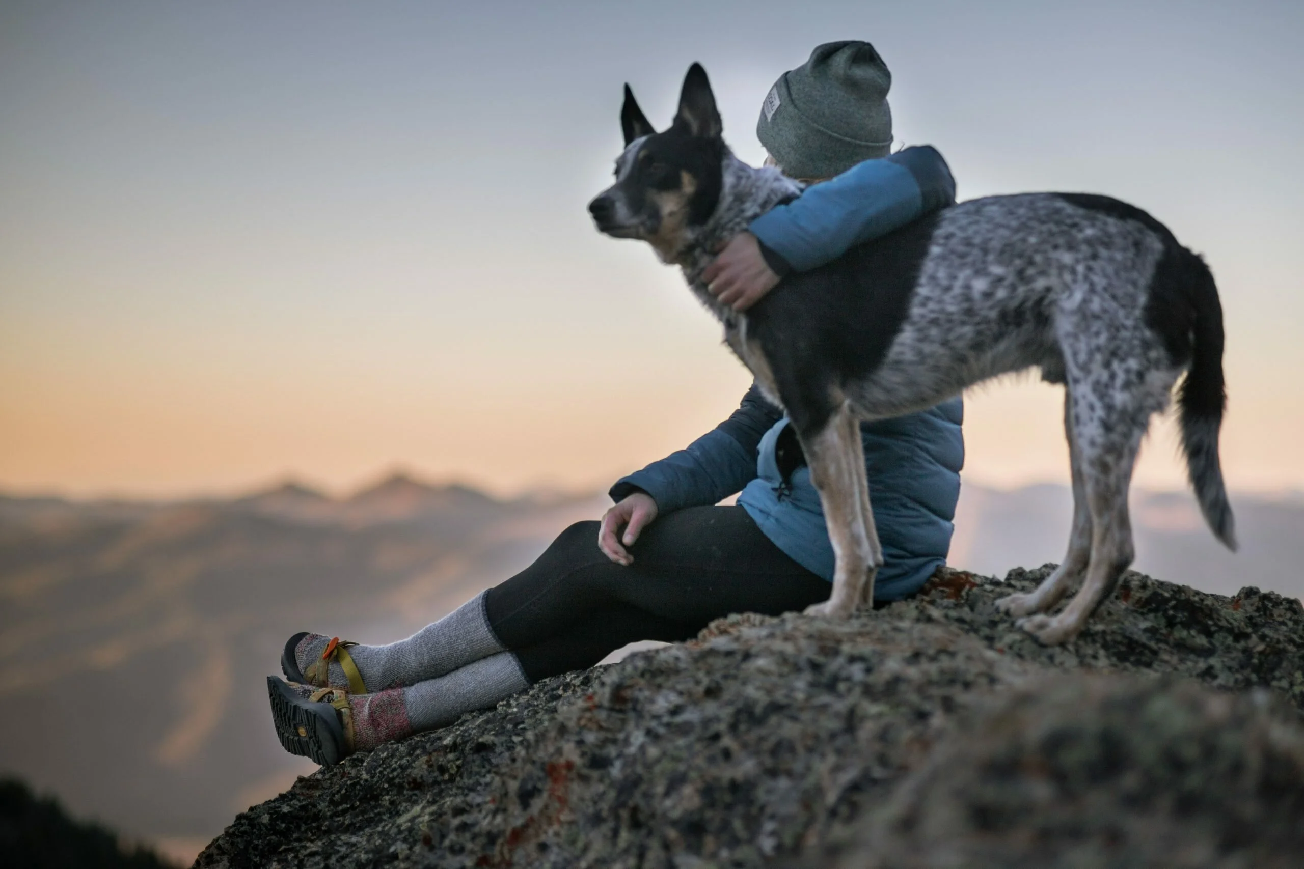El apoyo de nuestras mascotas en salud mental